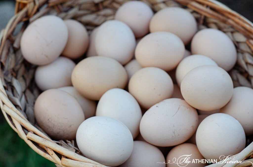 freshly picked eggs in a basket 